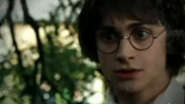 Snape and Lily, Draco and Hermione - Loosing Your Senses