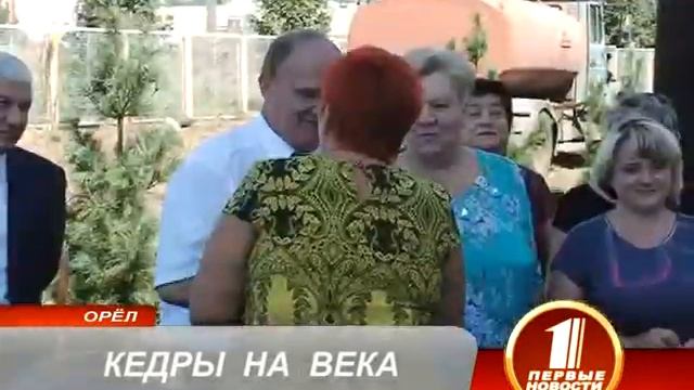 КЕДРЫ НА ВЕКА