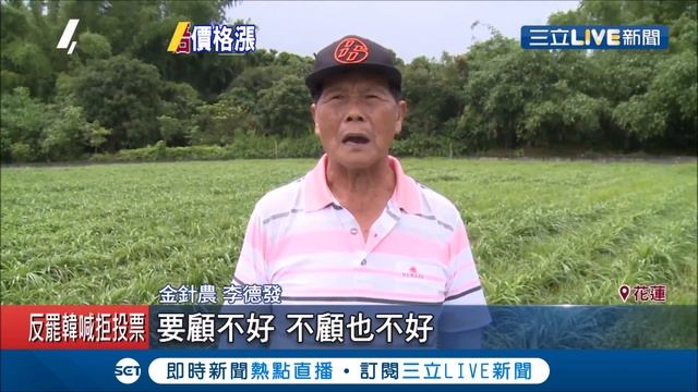 冬天不冷雨水少 金針花只開兩成30年最慘!!!  金針不開花恐大缺貨｜記者 洪儀婷 呂彥｜【消費報你知】20200510｜三立新聞台