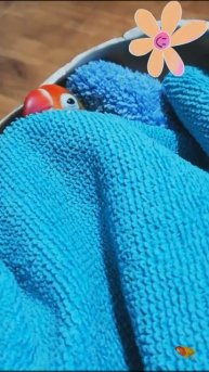 Snapchat-241836264.mp4