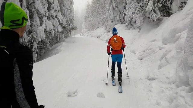 SKIALPY - Kubínska hoľa, Malino Brdo