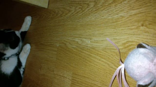 Ignore mouse, attack camera