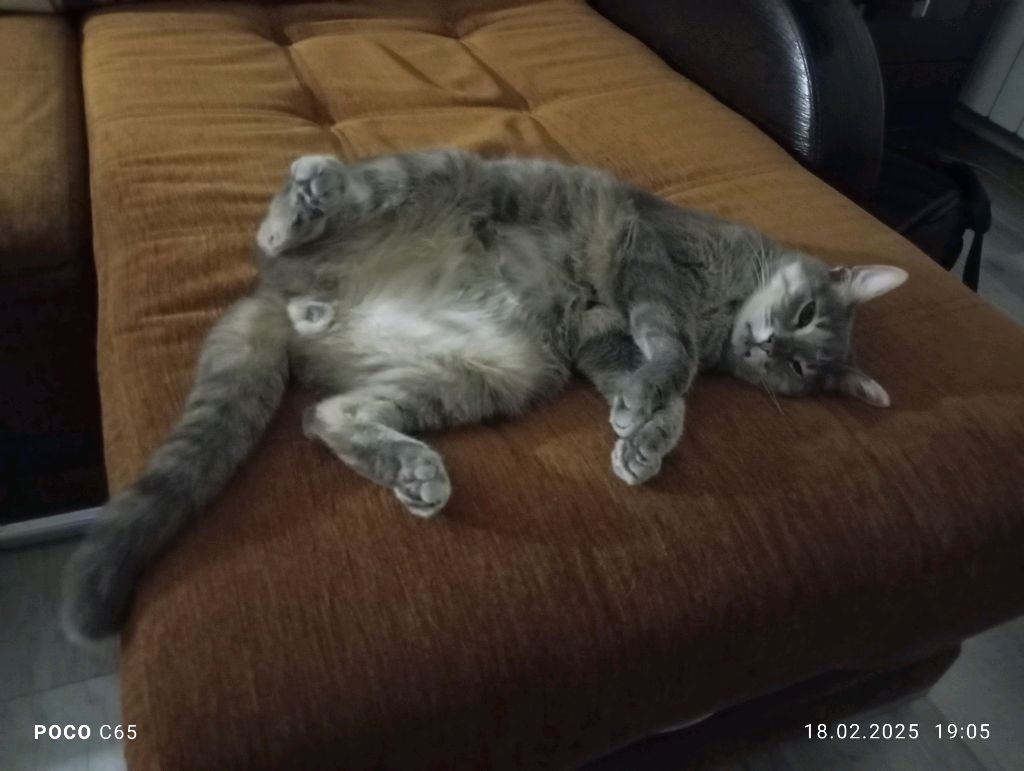 вот видимо уснул
