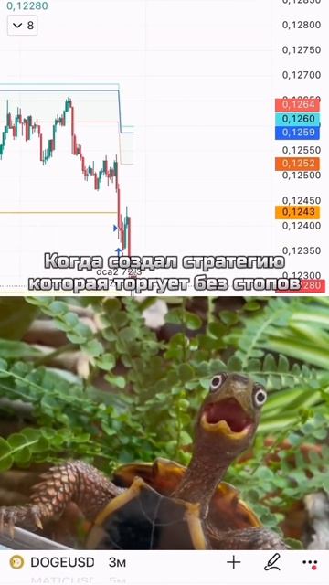 Когда создал стратегию, которая торгует без стопов #trading