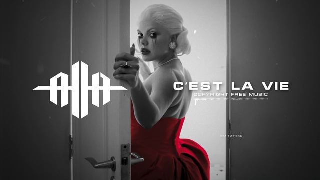 Dark Clubbing EBM Industrial Type Beat 'C'EST LA VIE'