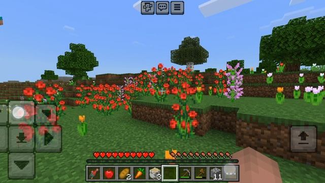 SVID_20250218_191313_1.mp4