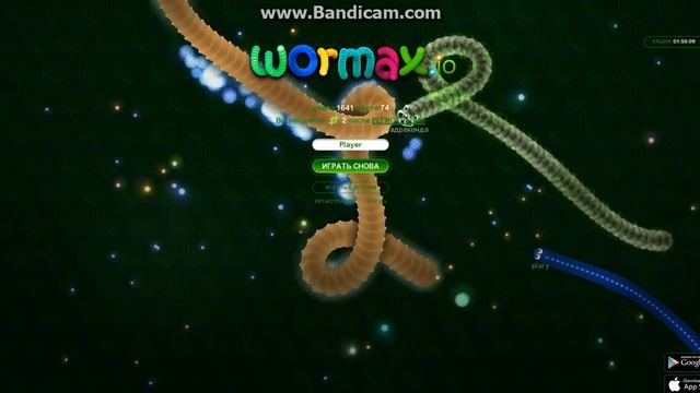 играем в wormax.io