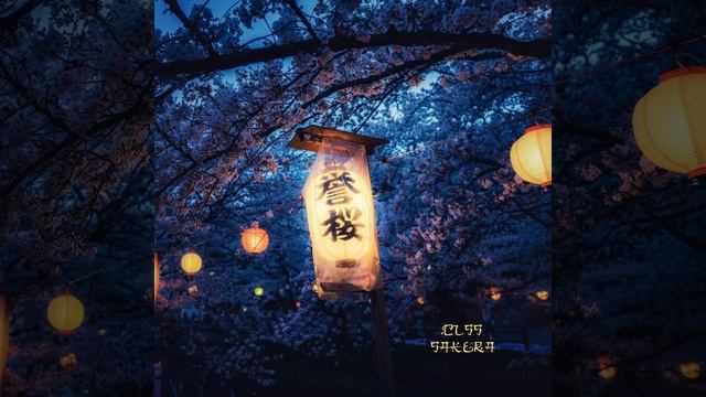 Sakura