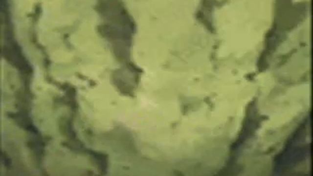 Naruto Kusha Las Payas