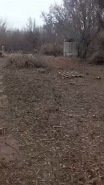 video5307744417170354599