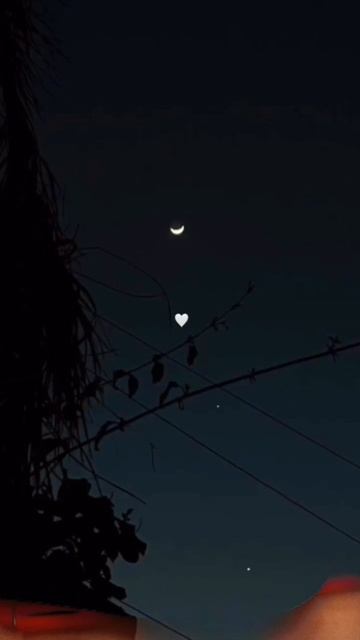 🌕⚡✨🌙