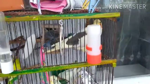 Небольшая новость для вас :)
