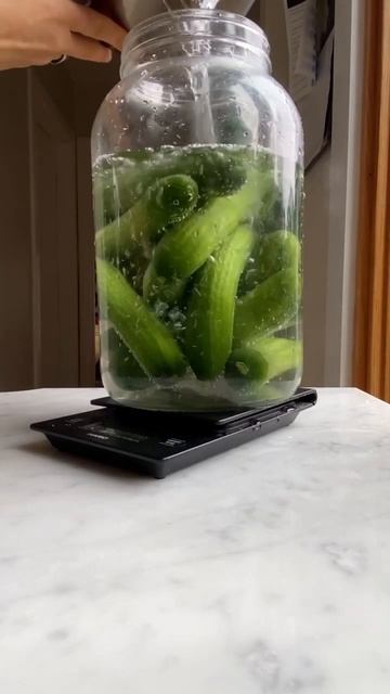 Easy fermented pickles (full recipe on IG @revolveprimalhealth)