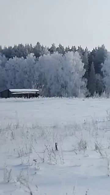 #Мудрые мысли