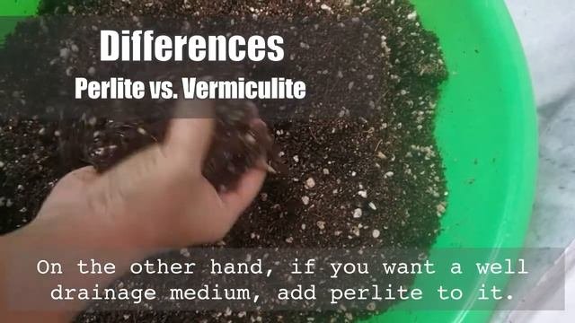 Perlite Vs. Vermiculite | Uses, Differences, Pros & Cons | When to Use and When to Avoid
