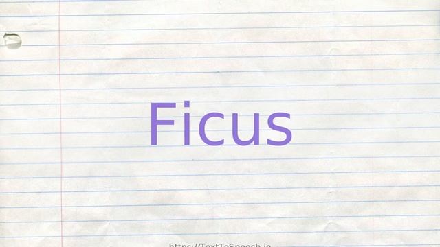 How to pronounce ficus