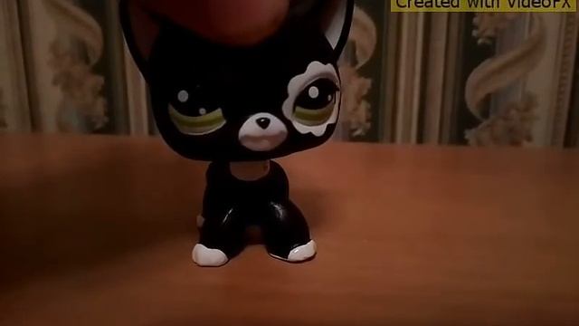 Lps клип-асталависта