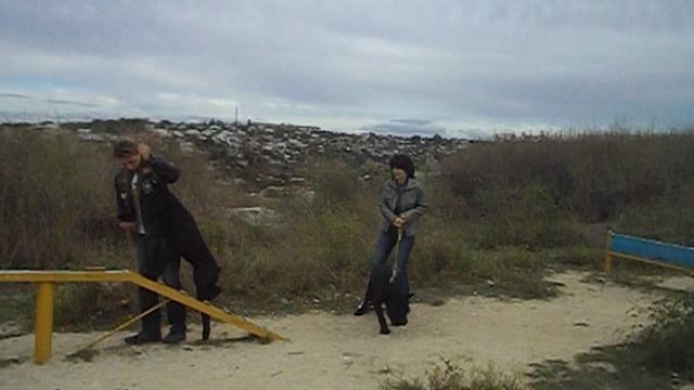 ПОСЛУШАНИЕ. ЗАНЯТИЯ С ГРУППОЙ ЩЕНКОВ. СНАРЯДЫ 4. ДВИЖЕНИЯ РЯДОМ. 4. 23.10. 2012