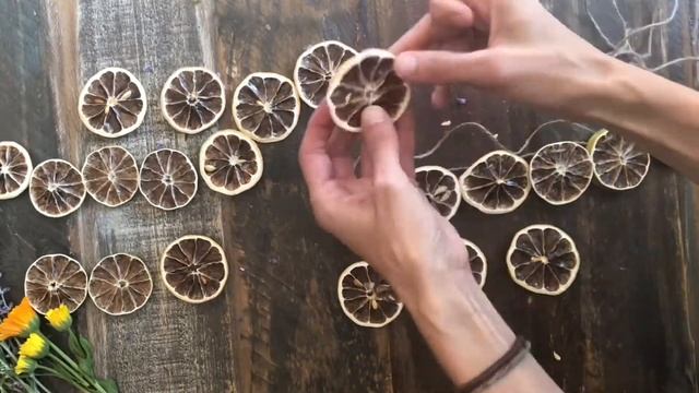 DIY Dried Lemon-Lime Garland for Spring and Summer