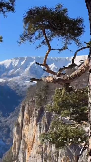 Хребет Малый Бамбак, Краснодарский край🌳https://t.me/vzgliani_blog #travel #russianlandscapes #vide