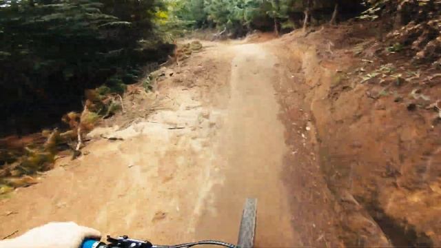 Epic Mountain Bike trails that no one rides! POV in the Rotorua Redwoods