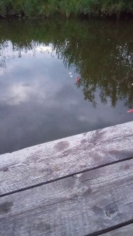 VID_20240819_203424.mp4