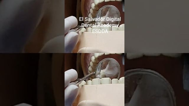 El Salvador Digital Dental Academy