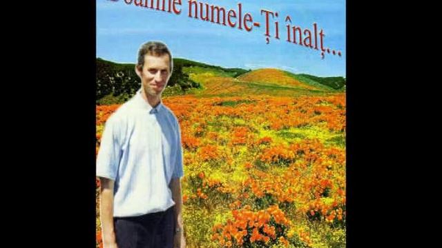 Для Тебя эту песню пою/Grigorie Vartic