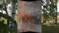 ИХ ПОБЕДА Песня на стихи Татьяны Абдумаминова, муз. Н. Жуков, вокал. Л. Великанова, звукор. А. Макал