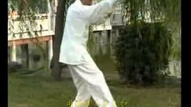 Er Shi Si Qi Quan 2