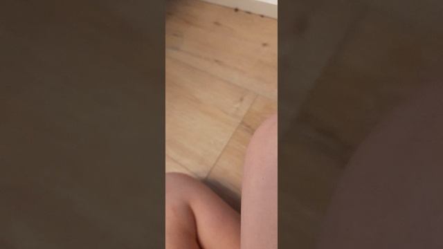 2 часть соревнований хомячков