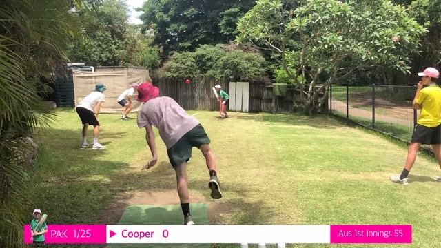 Pink TEST | Australia Vs Pakistan | 3rd Test | Backyard Cricket 2024