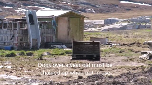 Greenland - June 2018 - Part 1 of 4