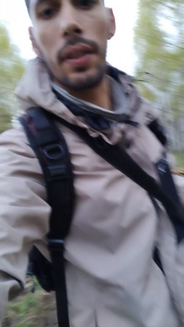 Весенние Грибы Сморчки