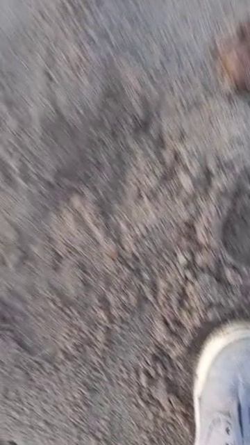мой первый большой окунь