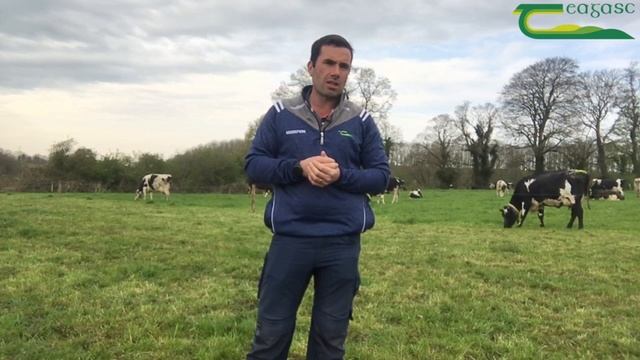 Tip on how to oversow white clover