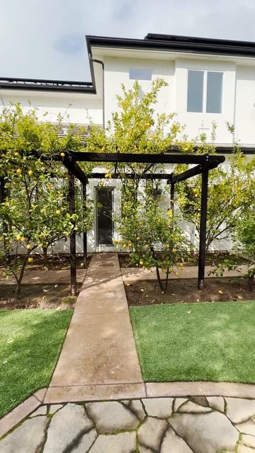 Lemon Arbor Makeover