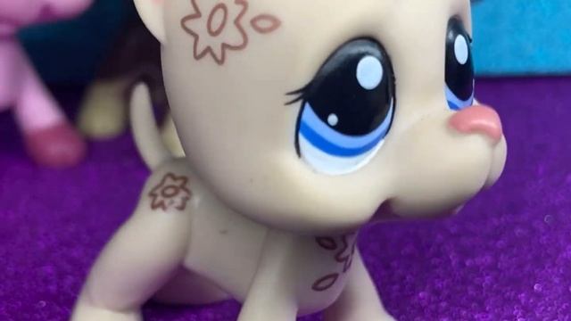 лпс распоковка| lps распоковка| littlest pet shop распоковка