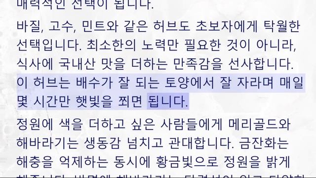 한국어 - 중간 - 초보자의 정원을 위한 최고의 식물