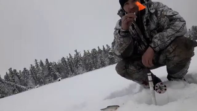 Пару дней в глуши на диком озере, отдых на избе.