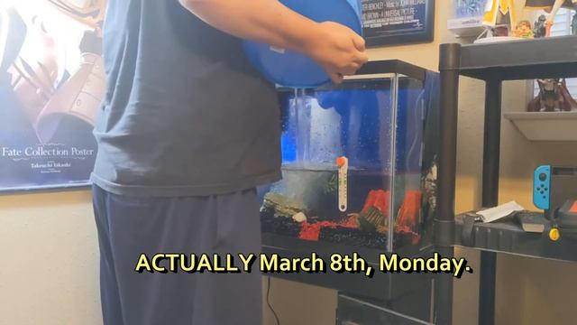 Part 1: Godzilla Themed Planted Fish Tank Build