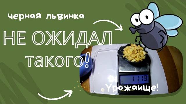 Не ожидал такого!