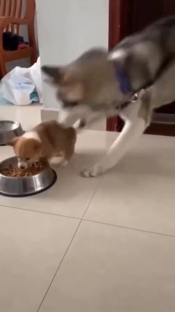 1000074088.mp4