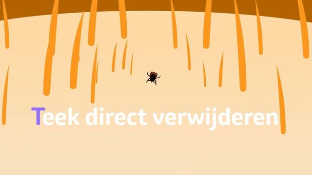 Teken? Volg de STAP-methode! Honden- en katteneigenaren hebben 50% meer kans op een tekenbeet!