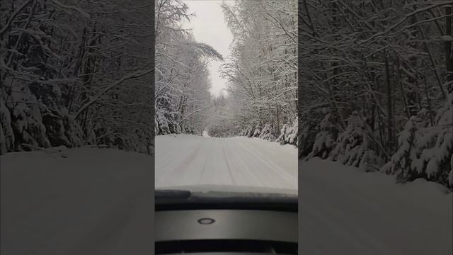 1000023945.mp4