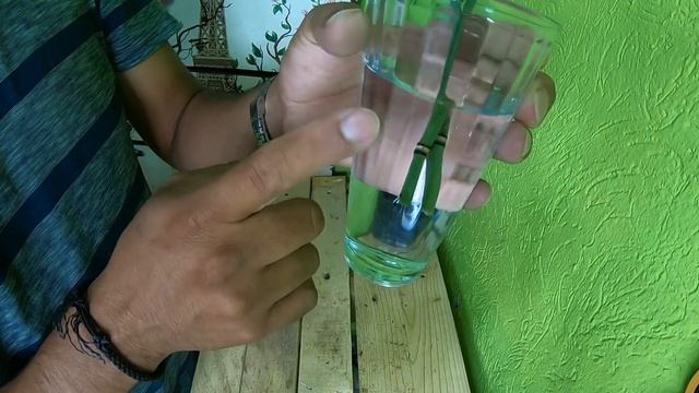 Como Reproducir la Cola de Caballo / Beneficos en la Descripcion / Paso a Paso