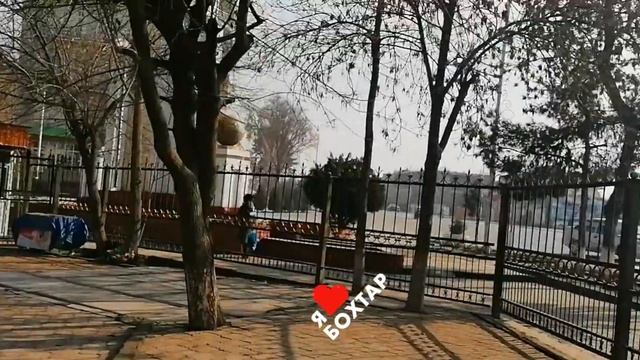 Утро в Бохтаре (19.12.2020)