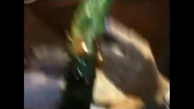 Shisha Fruit Contest #07