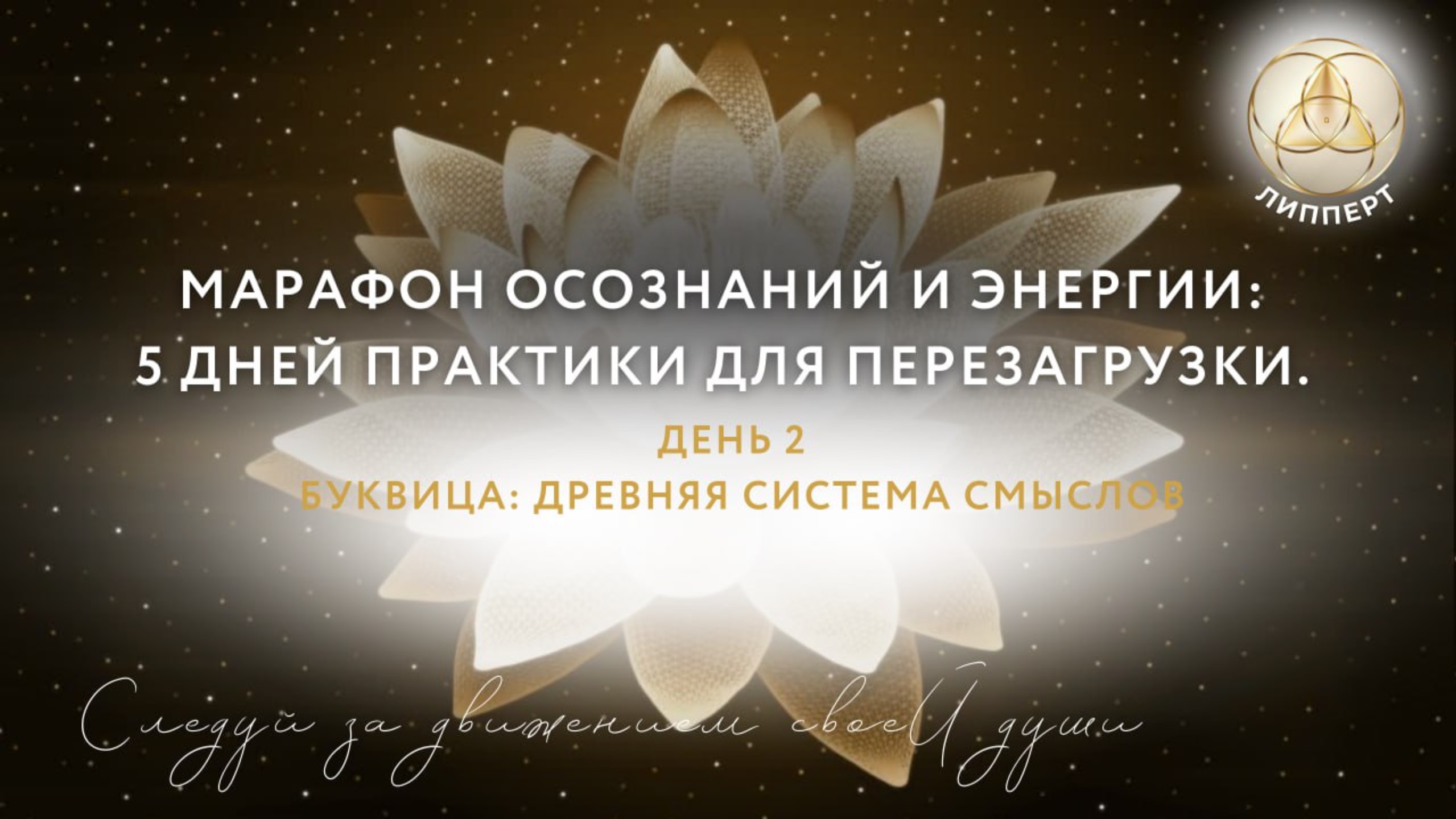 🤩Второй день марафона осознаний и энергии: 5 дней практики для перезагрузки