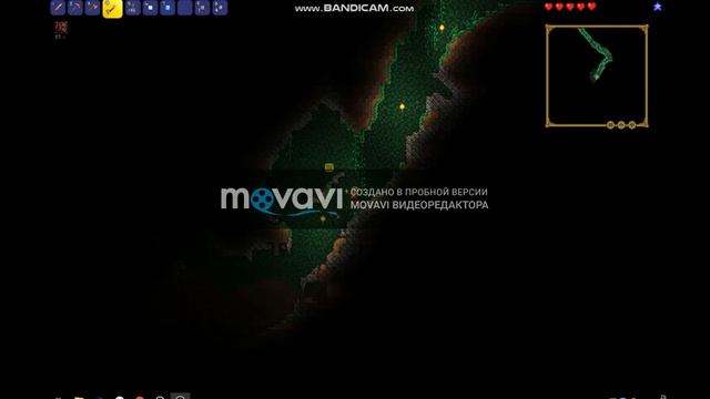 приключения только начинаются#1 terraria